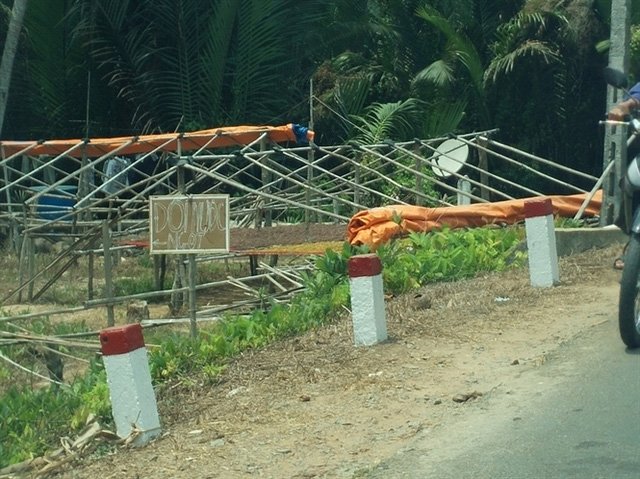 nhung-vuon-cay-hap-hoi-vi-han-man (4)