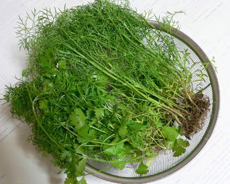 raumui-014