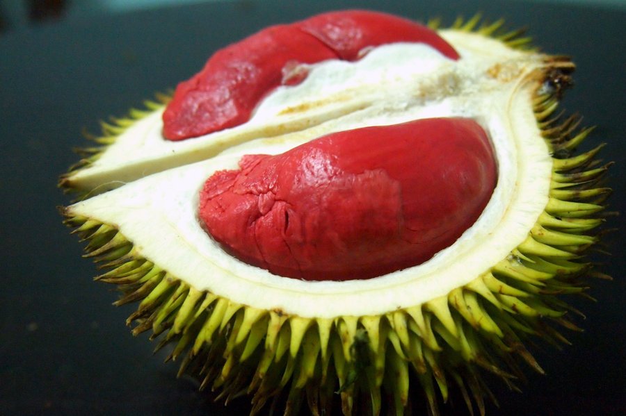 sau rieng