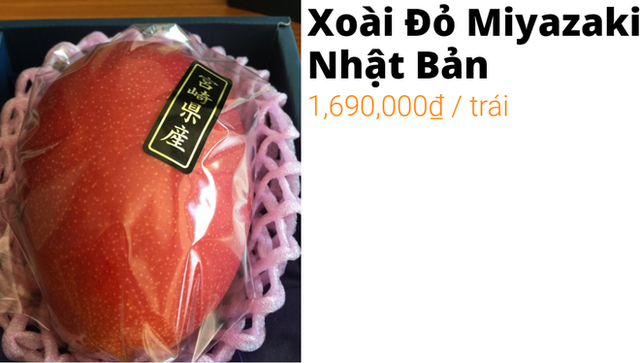 xoai