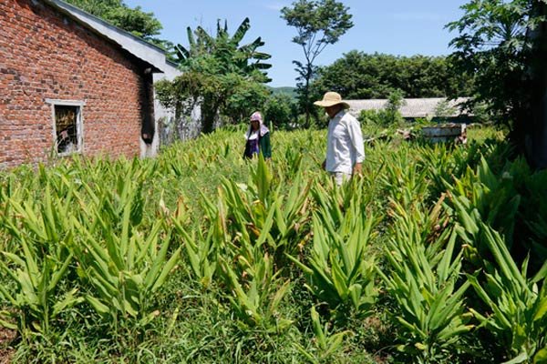 nghe 1