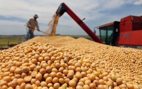 Nông sản Việt vào Hàn đây sẽ là cơ hội VKFTA được mở rộng