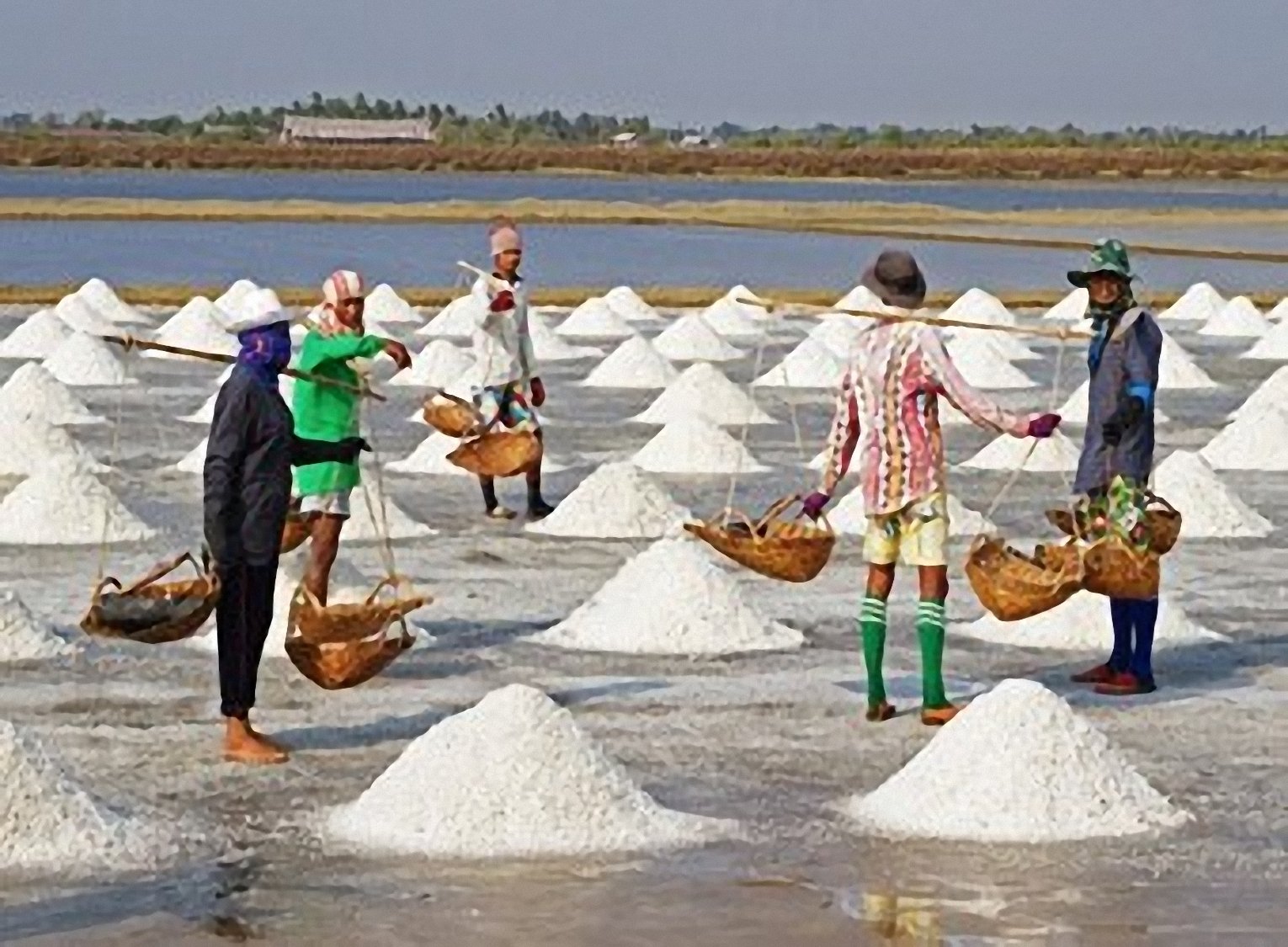 Mùa muối mặn ngậm ngùi ở Tân Thuận
