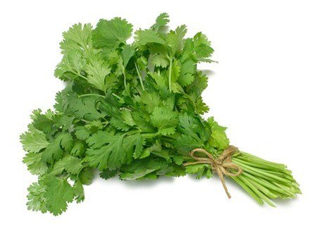 Bất ngờ với lợi ích chữa bệnh của rau mùi