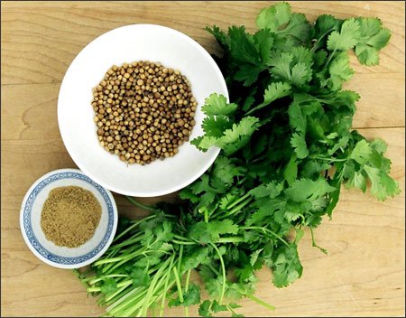 10 công dụng bất ngờ của rau mùi (ngò rí, mùi ta)