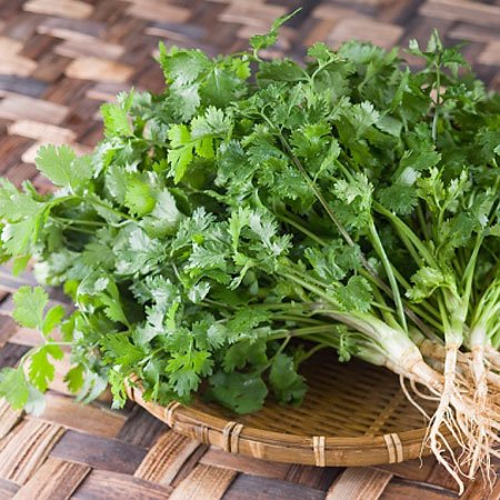 Công dụng của Rau ngò ( mùi, ngò rí )