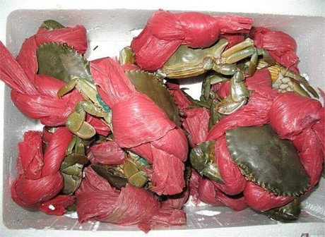 “Thánh” gian lận: “Dây trói nặng gấp đôi cua”
