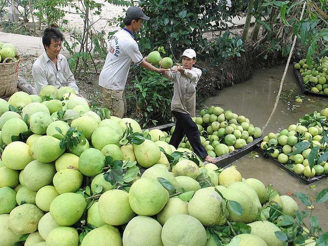 Cẩn trọng với mánh làm ăn “lạ đời” của thương lái Trung Quốc