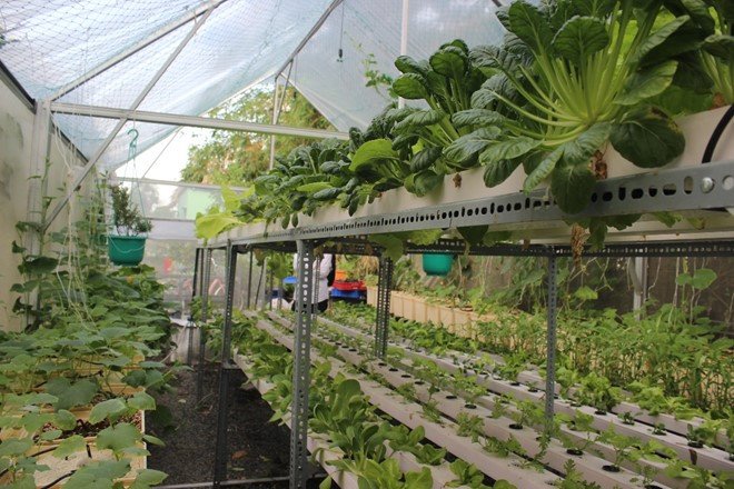 Nhập nhằng thực phẩm an toàn