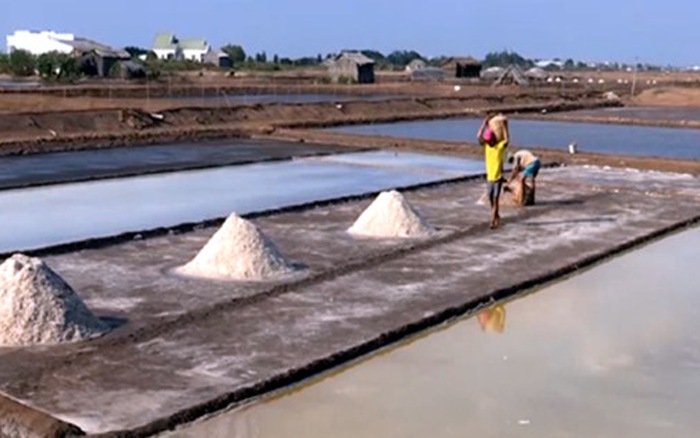 Bèo bọt hạt muối chẳng nuôi nổi diêm dân