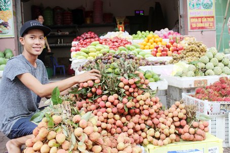 Lo trái cây.. mất mùa lại mất giá