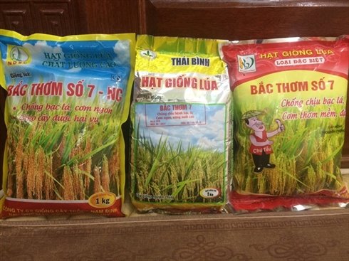 Hiểm họa ẩn chứa từ quảng cáo giống “chân dài, dáng chuẩn”
