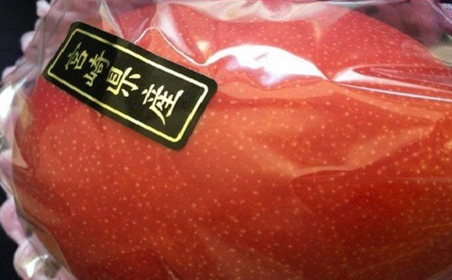 1.7 triệu 1 quả xoài và 400 ngàn 12 quả vài: Xót lòng cho dân Việt!