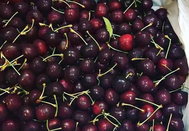 Ma trận Cherry: Người dùng có nên nghi ngờ nguồn gốc Cherry có giá rẻ giật mình?