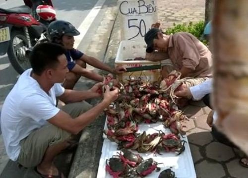 Cua siêu rẻ: Mắc bẫy tiền nào của nấy