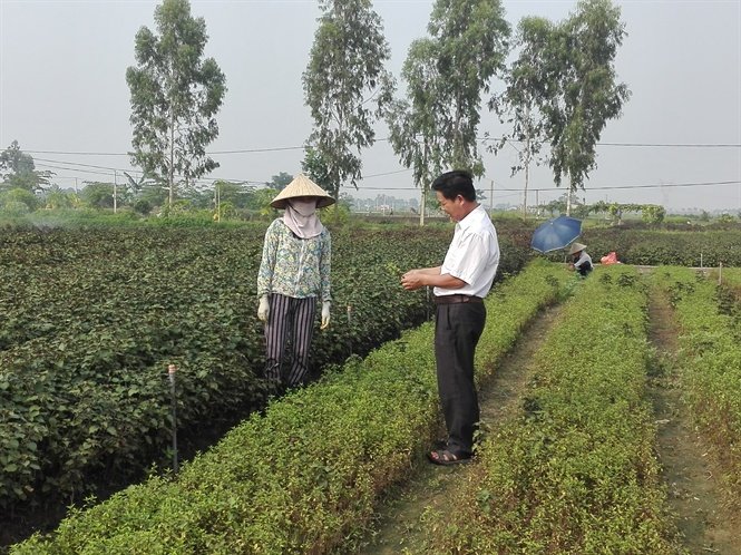 Cộng đồng giám sát vùng rau an toàn