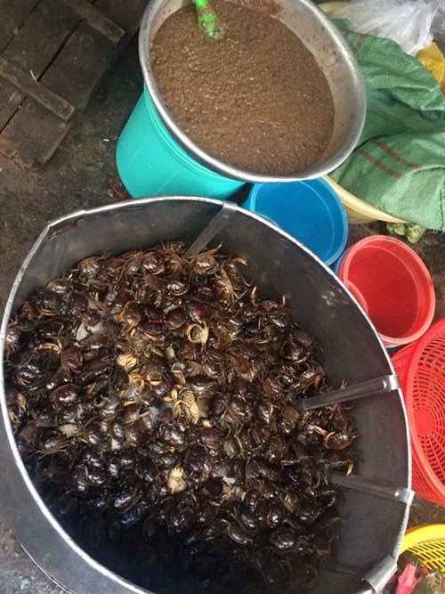 Hiểm họa trong món cua xay sẵn bán ở chợ