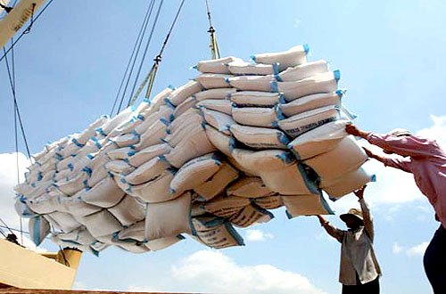 Khép lại thời gạo xuất khẩu bao tải, gạo Việt dán logo “xịn”