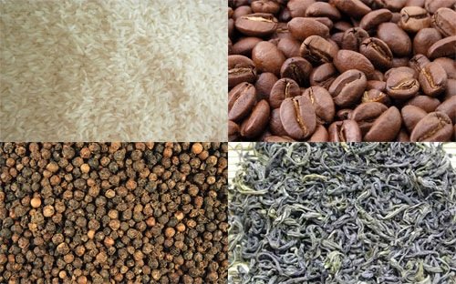 Nhìn lại nông sản rớt giá trong năm cũ!