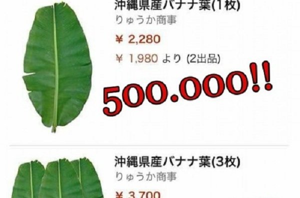 Sửng sốt với lá chuối rao bán gần nửa triệu ở Nhật!