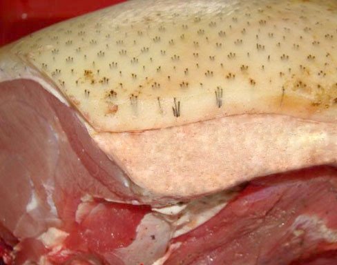 Săn lợn mán ở bản vẫn dính bẫy lợn sề