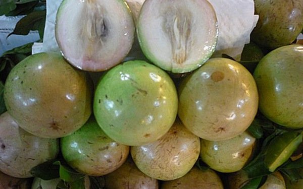 Loạn mua bán vú sữa xuất khẩu tại Tiền Giang