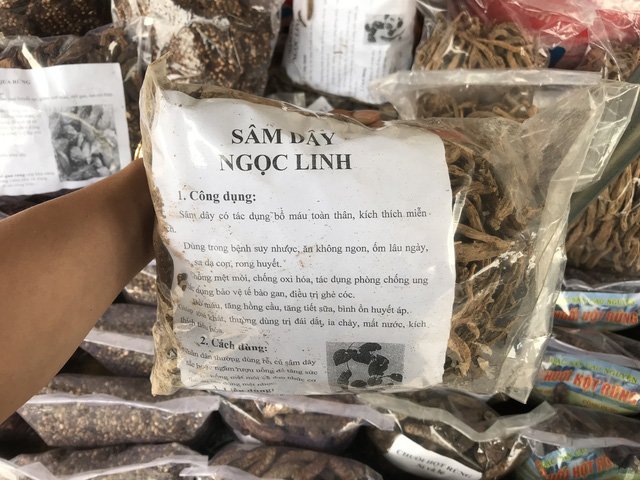 Sâm giả lộng hành ngay thủ phủ sâm Ngọc Linh