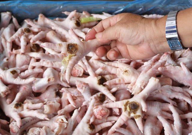 Chân gà Ba Lan vào Việt Nam nghi nhiễm khuẩn liệu có ra quán nhậu?