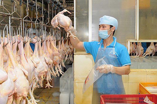 Nông sản Việt ra quốc tế nhưng doanh nghiệp Việt lép vế