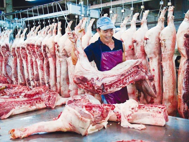 Giá heo tăng kỷ lục tiềm ẩn rủi ro