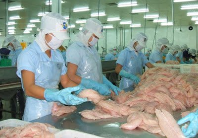 Cần đi đường dài khi tiến vào thị trường Trung Quốc