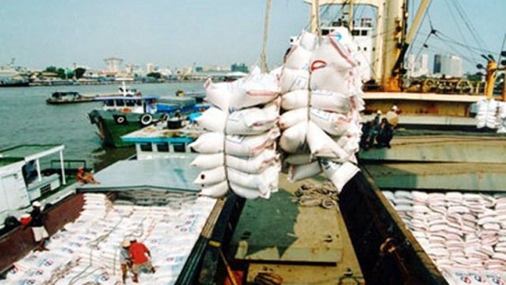 Gạo Việt vào mùa xuất khẩu