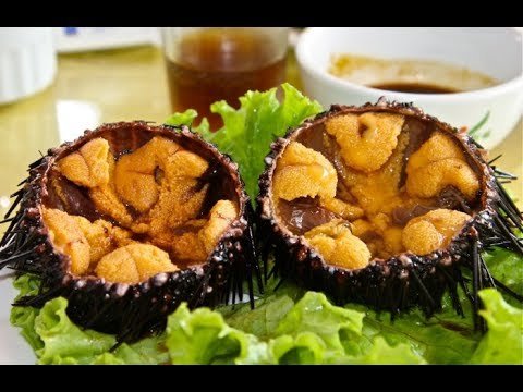 Trứng nhum biển Nhật đắt giá được săn lùng