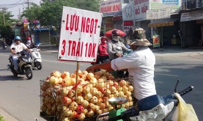 Lựu Trung Quốc 10 ngàn 3 trái, táo mini Hàn Quốc nửa triệu đồng mỗi kg hút khách