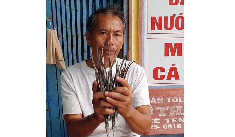 Cà Mau đã khuyến cáo không nên nuôi cá ngựa xương ở trong ao nuôi tôm