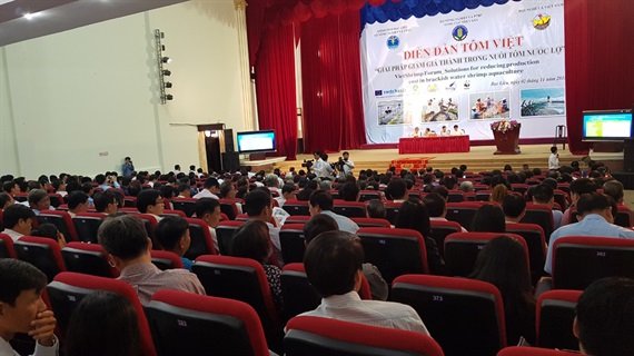 Nuôi tôm nước lợ và các giải pháp giảm giá thành