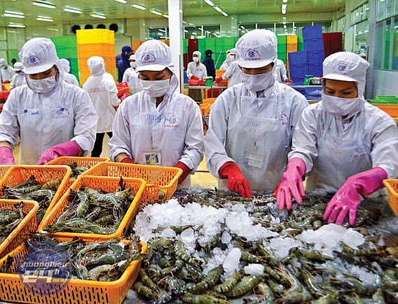 Thủy sản xuất khẩu hướng tới đích 9 tỷ USD
