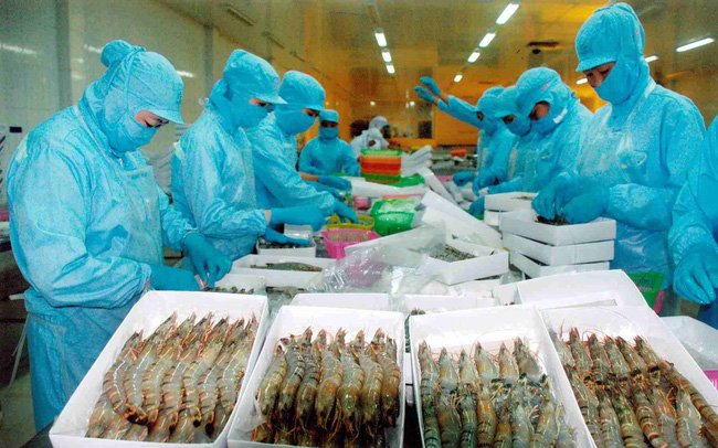 Dự kiến xuất khẩu tôm năm nay có thể vượt qua 3,85 tỷ USD