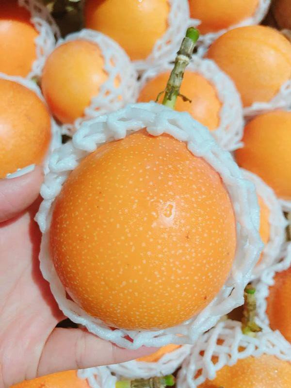Sốt hàng loại chanh leo nhập ngoại giá cao được người dùng săn lùng