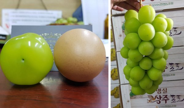 Hàng ngoại lên ngôi dịp Tết dương lịch dù giá cao ngất ngưởng