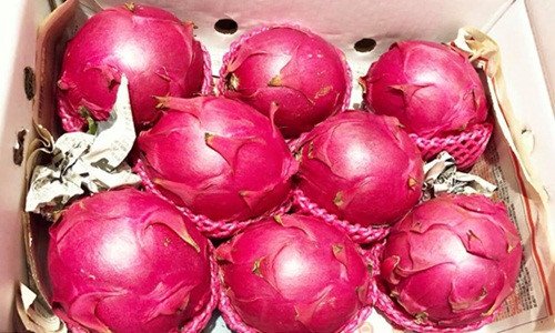Thanh long ruột đỏ nhập giá nửa triệu đồng một cân, liệu có đáng mua?