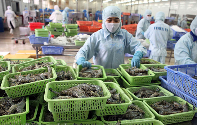 Xuất khẩu tôm tháng 10 tiếp tục chững lại