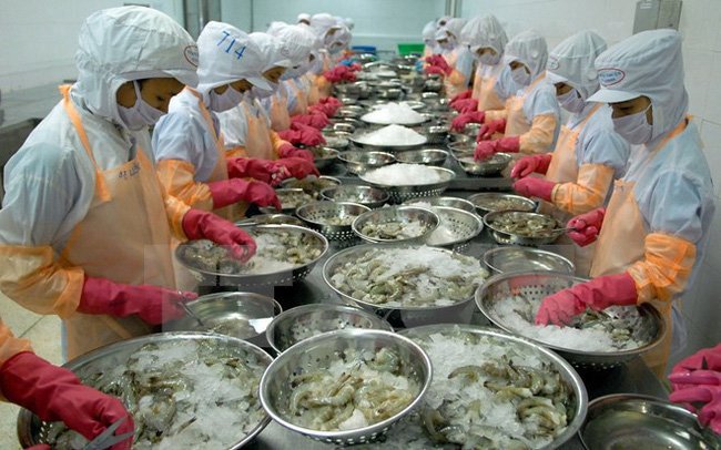 Xuất khẩu tôm Việt Nam sang nhiều nước đều giảm mạnh